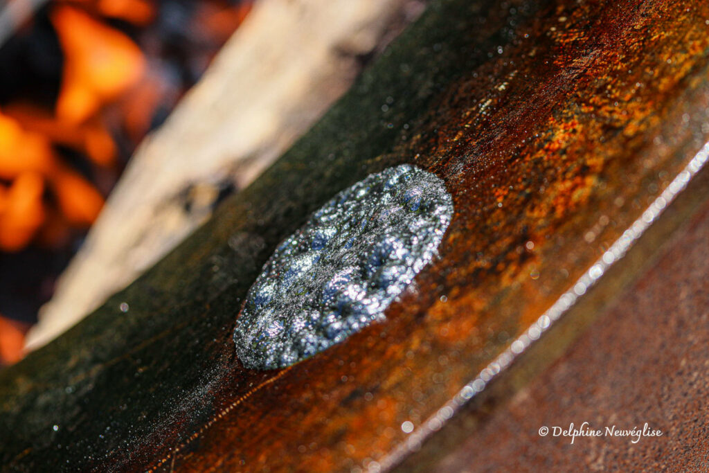 tuiles dentelles en charbon végétal