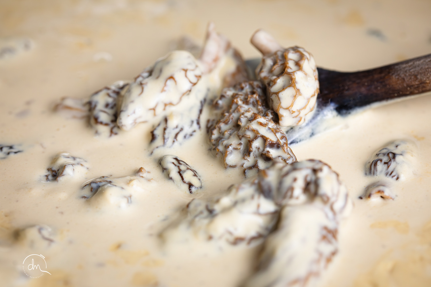 sauce aux morilles