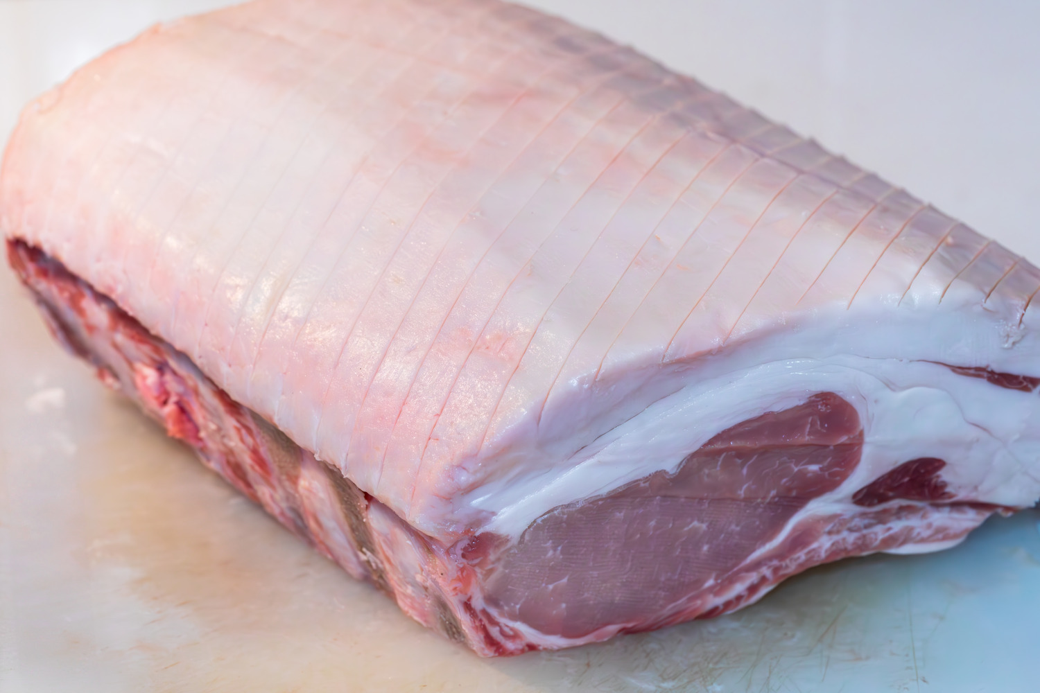 marquage-carre-porc noir-bigorre-aop