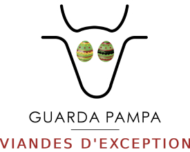 Logo Guardapampa