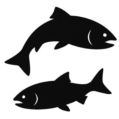 La Truite et le Saumon de Noël