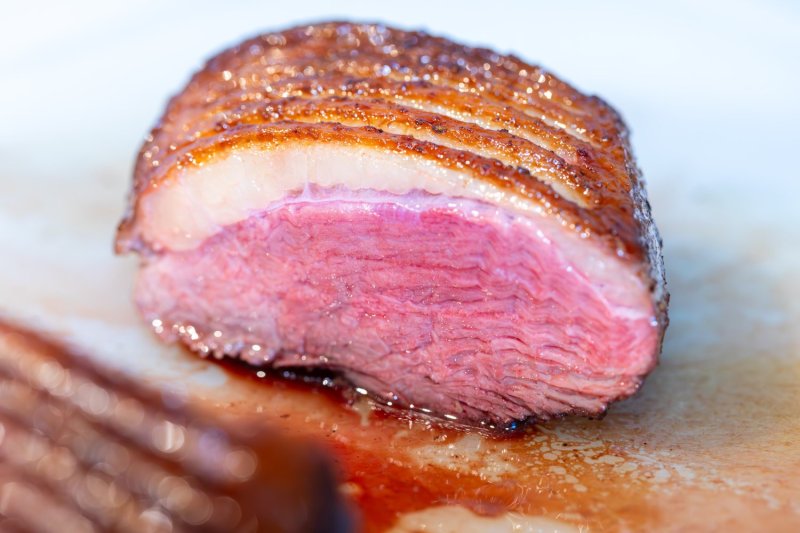 magret-canard-igp-so-label-rouge-3