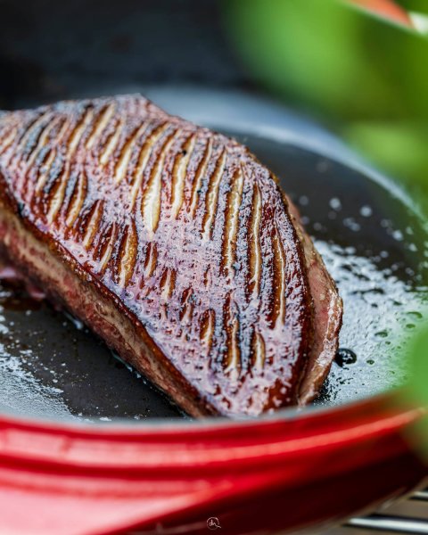 Cuisson Magret de Canard Cru Gras Fermier IGP SO Label Rouge