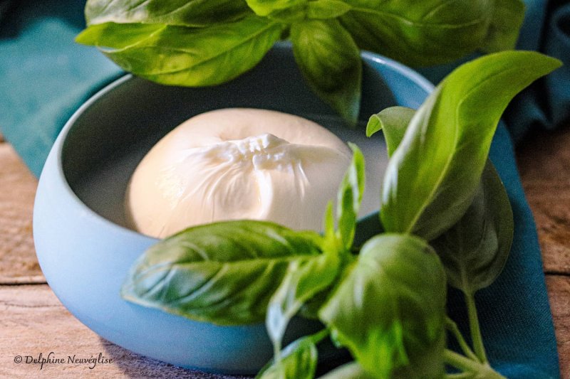 Burrata des pouilles