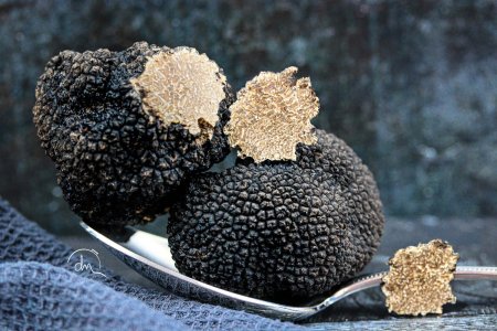 Truffe noire de Bourgogne